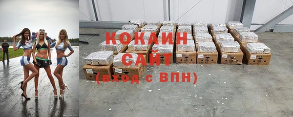 амф Алексин