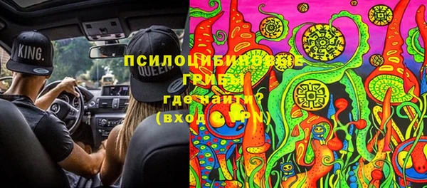 ALPHA PVP Алзамай