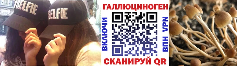 Галлюциногенные грибы прущие грибы  Калининск 